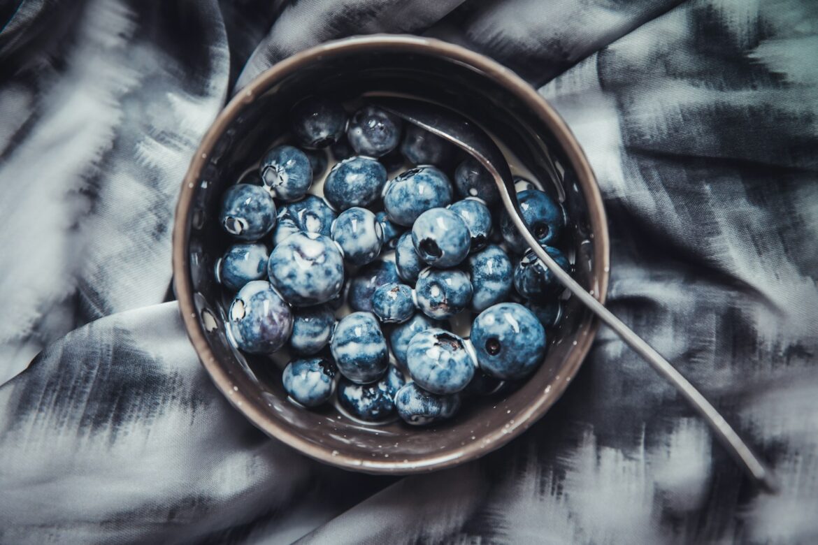 Photo by Mona Eendra blue berries with milk in brown ceramic bowl